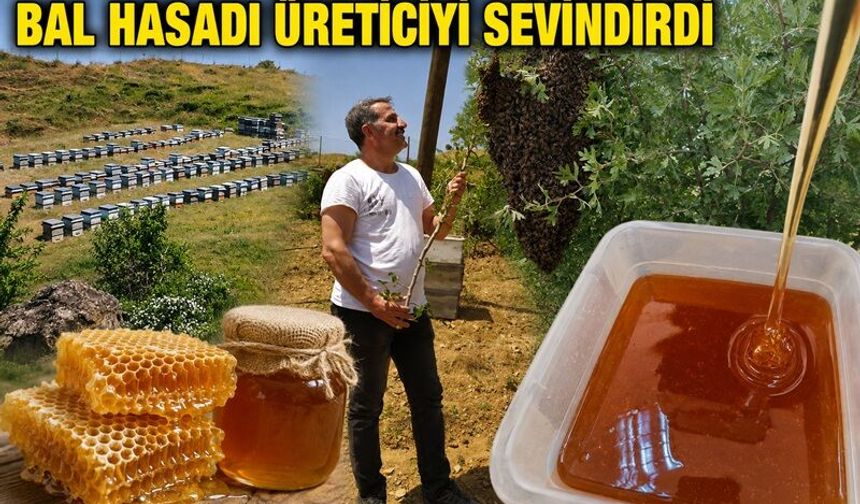 Kulp'ta Bal Hasadı Üreticiyi Sevindirdi: Verim Yüzde 50 Arttı
