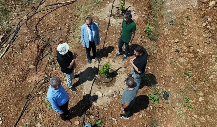 Bingöl’de Taşlık Araziler Akıllı Sistemlerle Meyve Bahçesine Dönüşüyor