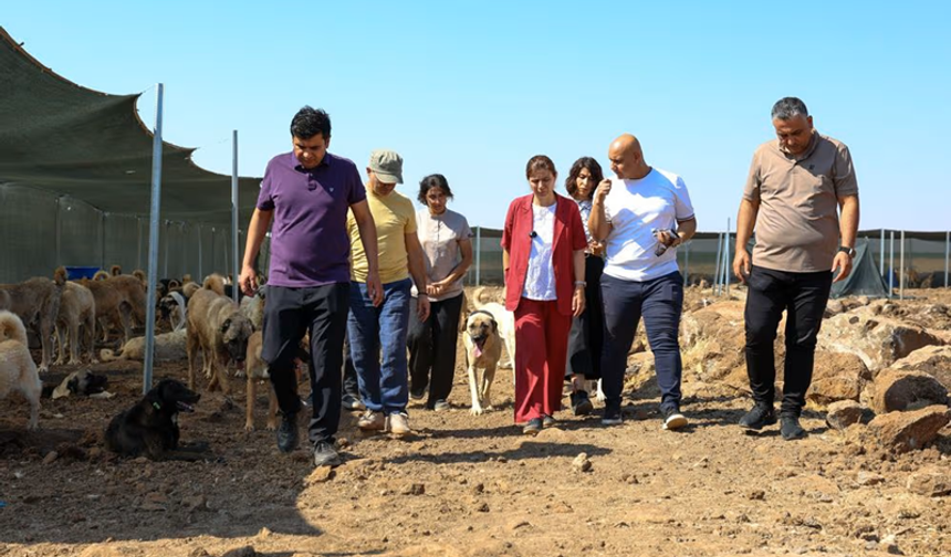 Bucak, Doğal Yaşam Alanı’ndaki Çalışmaları Yerinde İnceledi