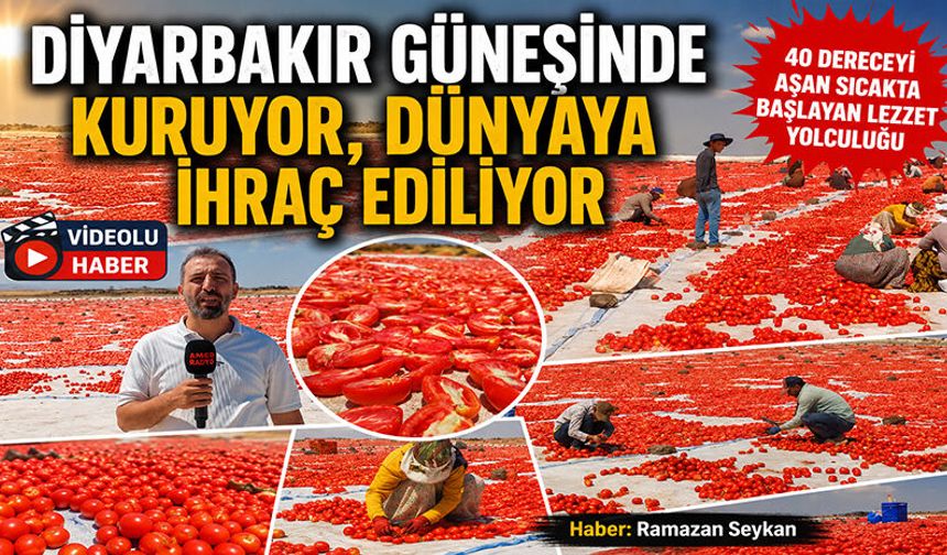 Diyarbakır Güneşinde Kuruyor, Dünyaya İhraç Ediliyor