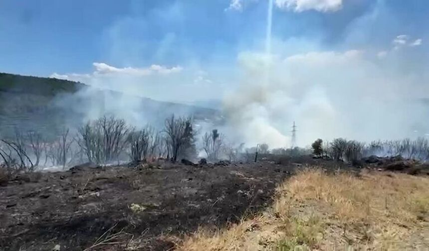 Erdek ilçesinde makilik ve zeytinlik alanda yangın çıktı