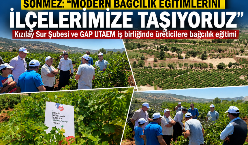 Diyarbakır’da Bağcılık Eğitimleri İlçelere Taşınıyor