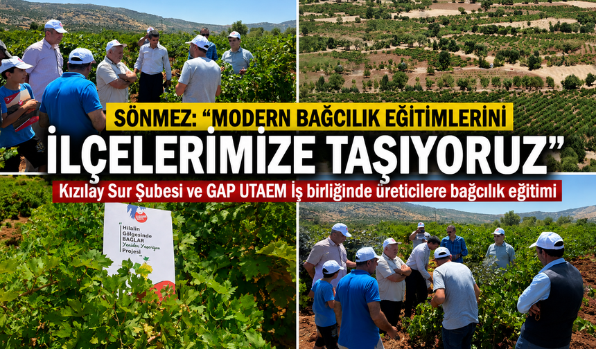 Diyarbakır’da Bağcılık Eğitimleri İlçelere Taşınıyor