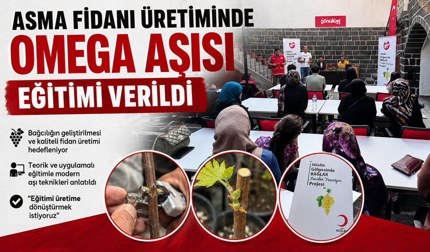 Diyarbakır’da Asma Fidanı Üretimi İçin Omega Aşısı Eğitimi Verildi