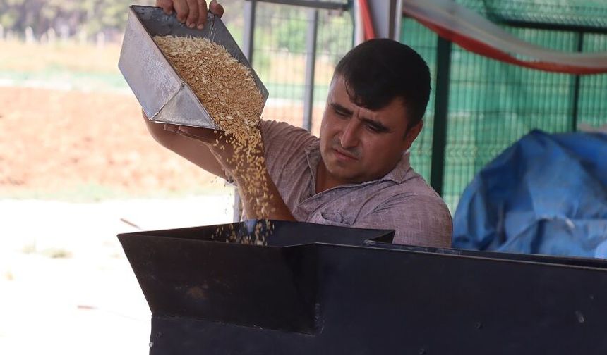 GAPTAEM'in tescilli yerli tohumları yüksek verim ve kaliteyle öne çıkıyor