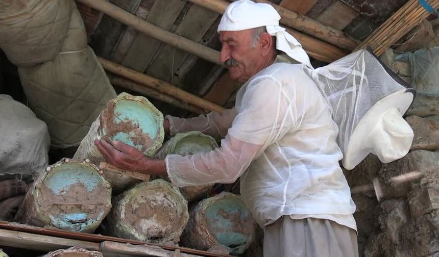 51 yıllık arıcılık emeği: 180 kovanla 6 çocuğunu okuttu