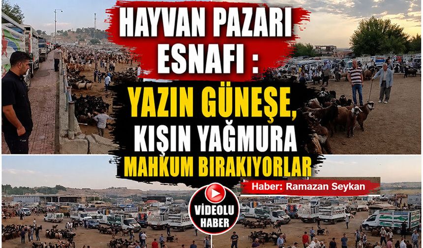 Hayvan Pazarı Esnafı : Yazın Güneşe, Kışın Yağmura mahkum bırakıyorlar