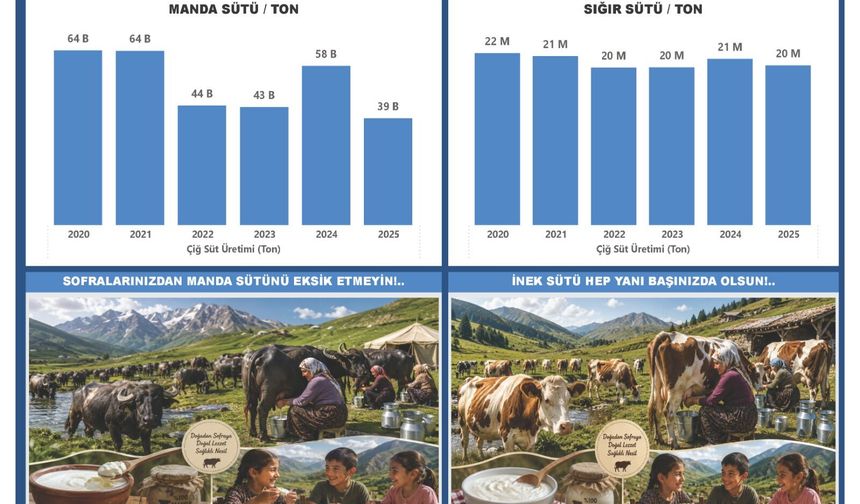 Manda Sütü mü, İnek Sütü mü? Besin Değeri ve Üretim Açısından Karşılaştırma