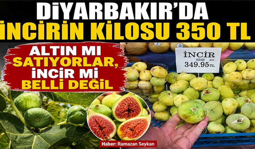 Diyarbakır’da incirin kilosu 350 TL