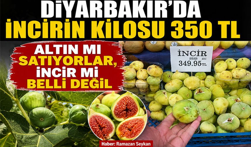 Diyarbakır’da incirin kilosu 350 TL