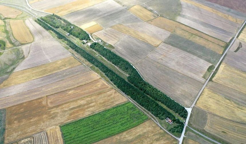 57 yıl önce ağaçlandırılan tren istasyonu, yeşil dokusuyla dikkati çekiyor