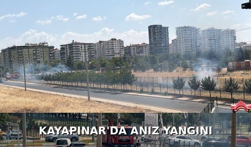 Kayapınar’da Anız Yangını: Alevler Çevreye Yayılmadan Söndürüldü