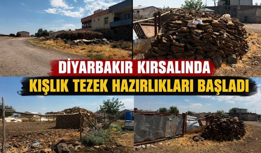 Diyarbakır Kırsalında Kışlık Tezek Hazırlıkları Başladı