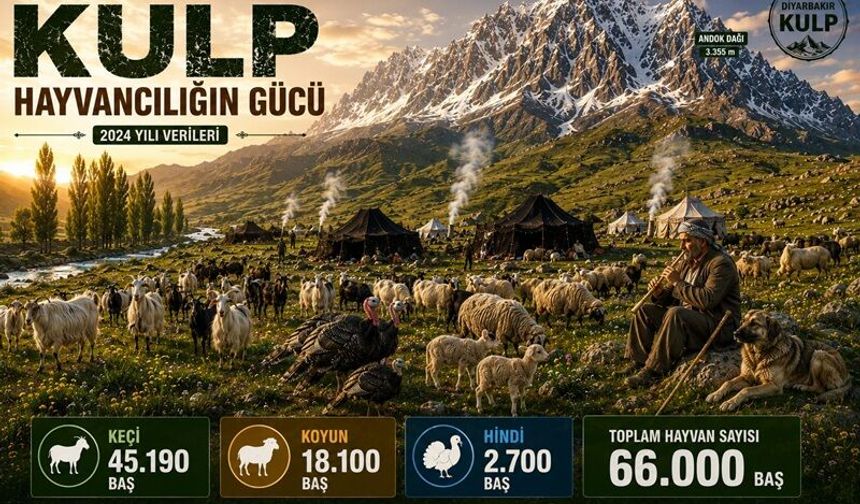 Kulp'ta Hayvancılık Rakamlarla Değerlendirdi