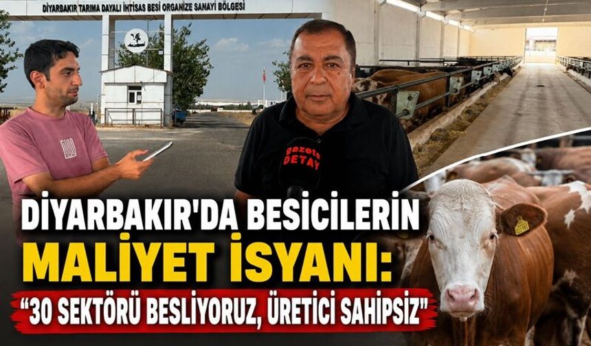 Diyarbakır’da Besicilerin Maliyet İsyanı: “30 Sektörü Besliyoruz, Üretici Sahipsiz”