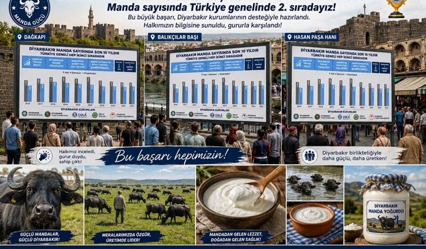 Diyarbakır Manda Sayısında Türkiye Birincisi Olmak Üzere
