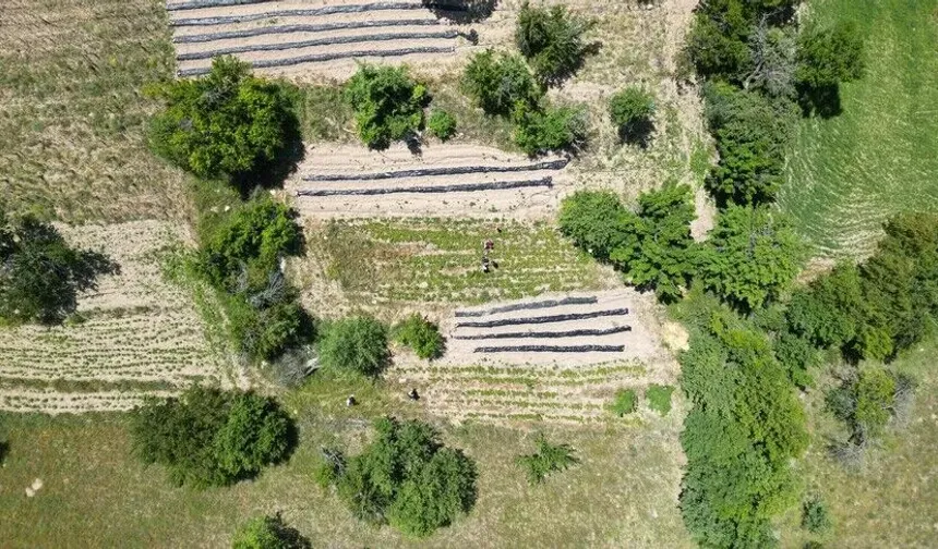 OGM’den Orman Köylülerine 3,3 Milyar Liralık Destek Paketi