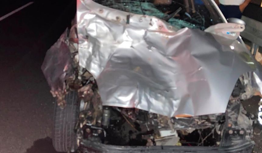 Otomobilin sahipsiz bir eşeğe çarpması sonucu 4 kişi yaralandı