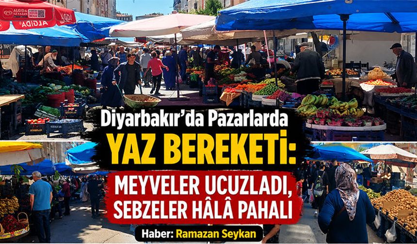 Pazarlarda Yaz Bereketi devam ediyor : Meyveler Ucuzladı, Sebzeler Hâlâ Pahalı