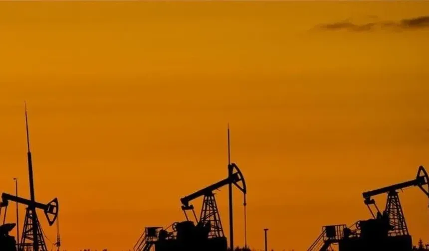 Türkiye yılın ilk yarısında 23,1 milyon varil petrol üretti