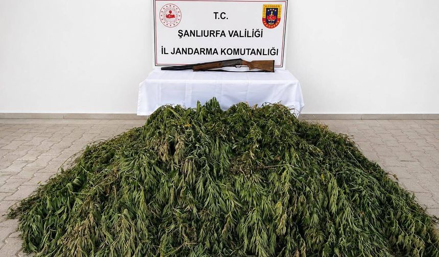 Şanlıurfa'da uyuşturucu operasyonunda 1 şüpheli yakalandı