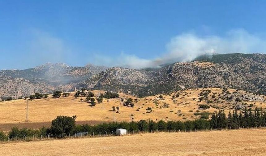 Diyarbakır’da Örtü Yangını Ormanlık Alana Sıçradı