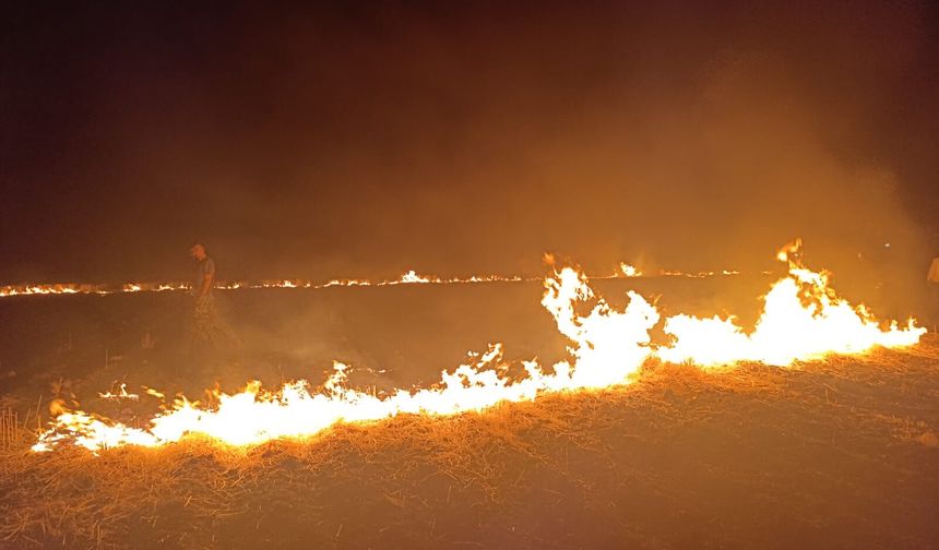 Şırnak'ta çıkan örtü ve anız yangını söndürüldü