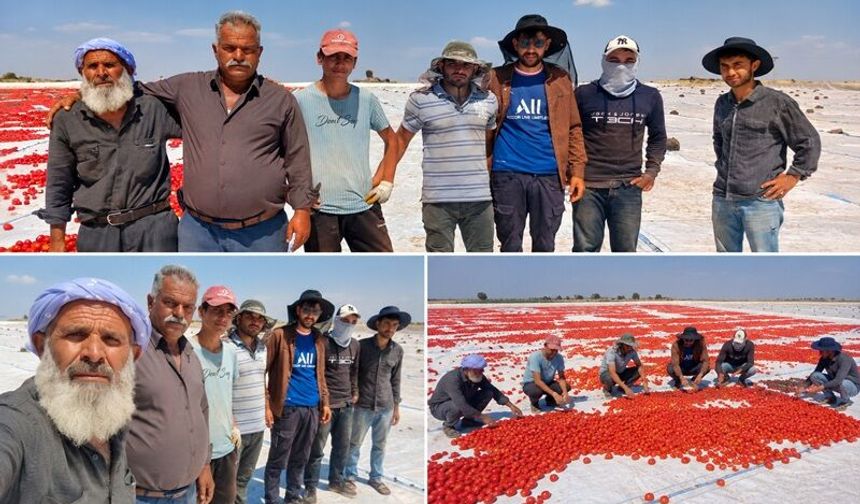 Diyarbakır’da Tarım İşçilerinin Güneşle İmtihanı