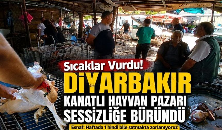 Sıcak Hava Diyarbakır’daki Kanatlı Hayvan Pazarını Vurdu