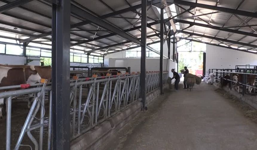 9 milyon liralık hibeyle hayvan sayısını 10'dan 30'a çıkardı