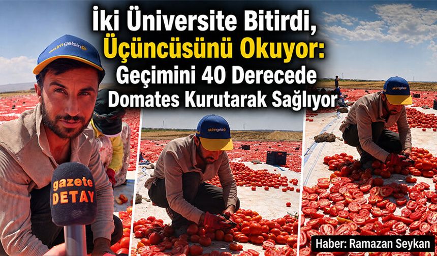 İki Üniversite Bitirdi, Üçüncüsünü Okuyor: Geçimini 40 Derecede Domates Kurutarak Sağlıyor