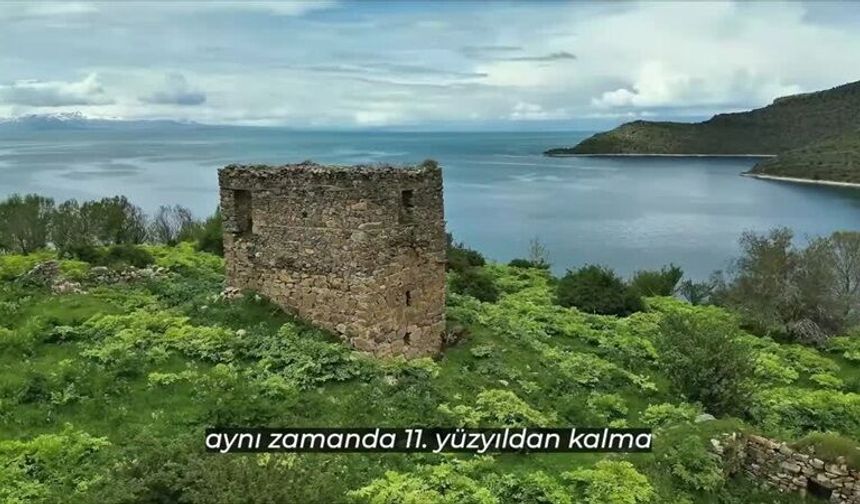 Van Gölü kıyısındaki Deveboynu Yarımadası milli park ilan edildi