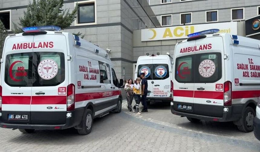 Van gölüne giren 2 kardeş hayatını kaybetti