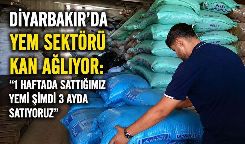 Diyarbakır’da Yem Sektörü Kan Ağlıyor: “1 Haftada Sattığımız Yemi Şimdi 3 Ayda Satıyoruz”