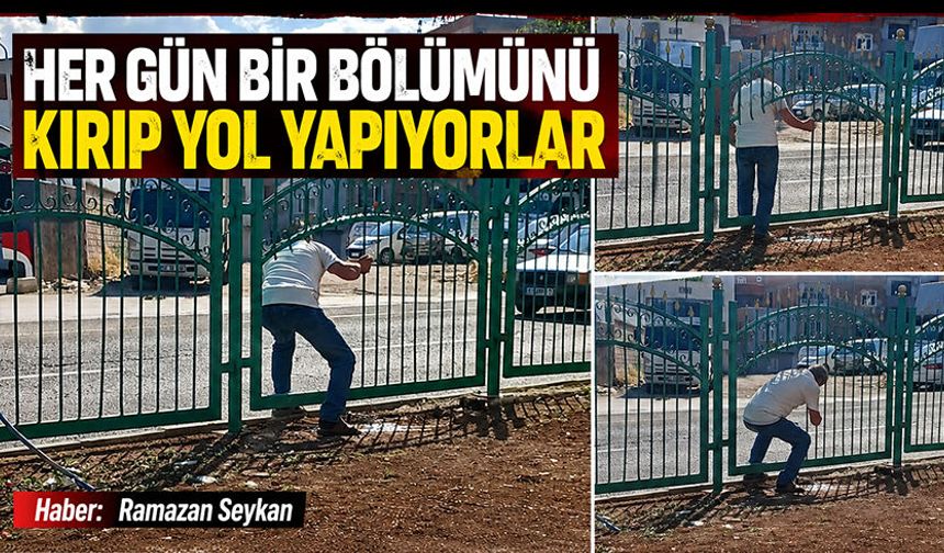 Her gün bir bölümünü kırıp yol yapıyorlar