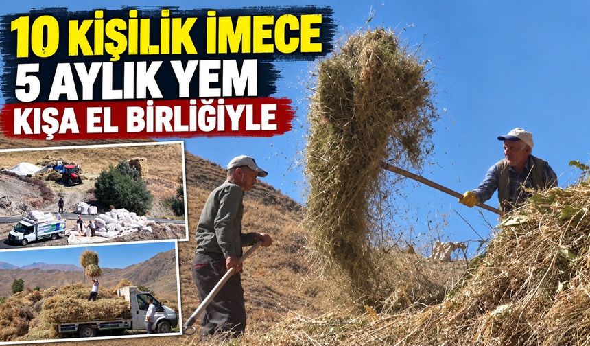 5 ay ahırda kalacak hayvanlara yem: Hakkari’de imece mesaisi