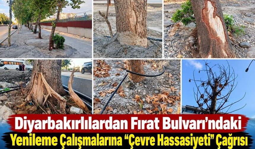 Diyarbakırlılardan Fırat Bulvarı’ndaki Yenileme Çalışmalarına “Çevre Hassasiyeti” Çağrısı