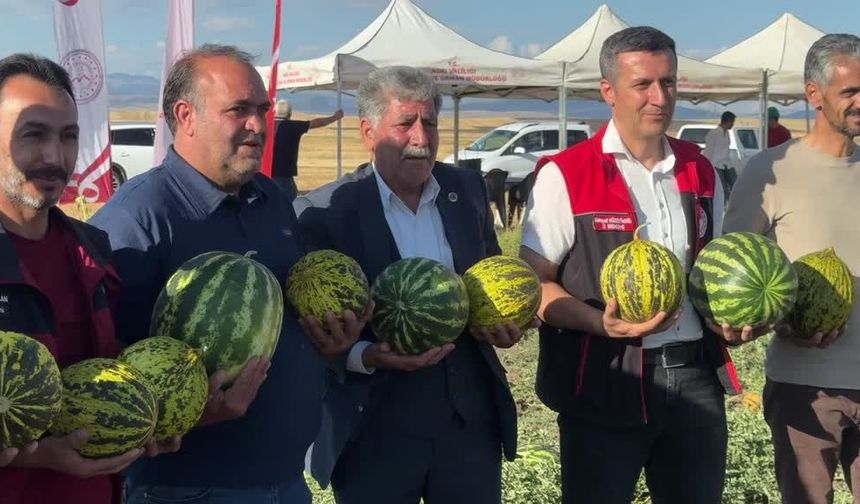 40 dekarda 100-120 ton ürün: Ağrı'da çiftçinin 3 yıllık emeği