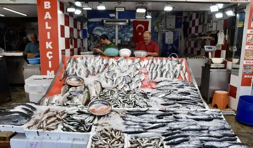 Karadeniz’de av sezonu palamut bereketiyle başladı