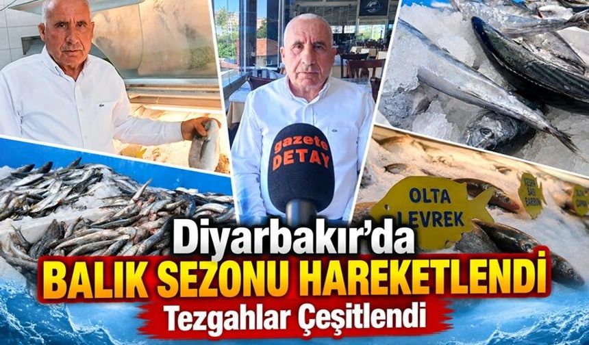 Diyarbakır’da Balık Sezonu Hareketlendi: Tezgahlar Çeşitlendi