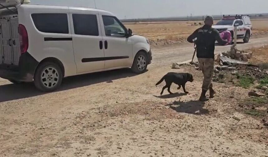 Mardin’de 13 Yaşındaki Çocuktan Haber Alınamıyor: Arama Çalışması Başlatıldı