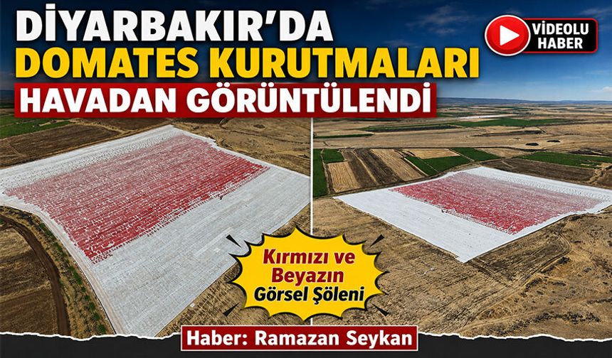 Diyarbakır’da domates kurutmaları havadan görüntülendi