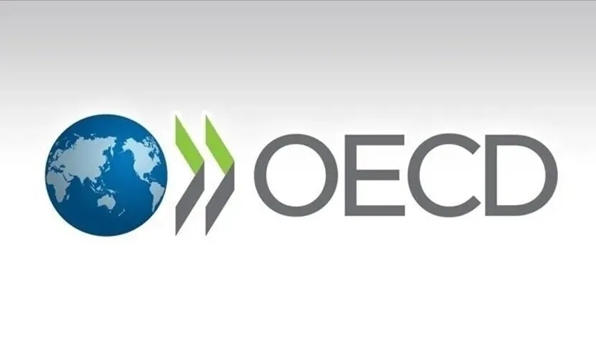 OECD, Türkiye'nin geleceğin becerilerine yönelik eğitim projelerini destekleyecek