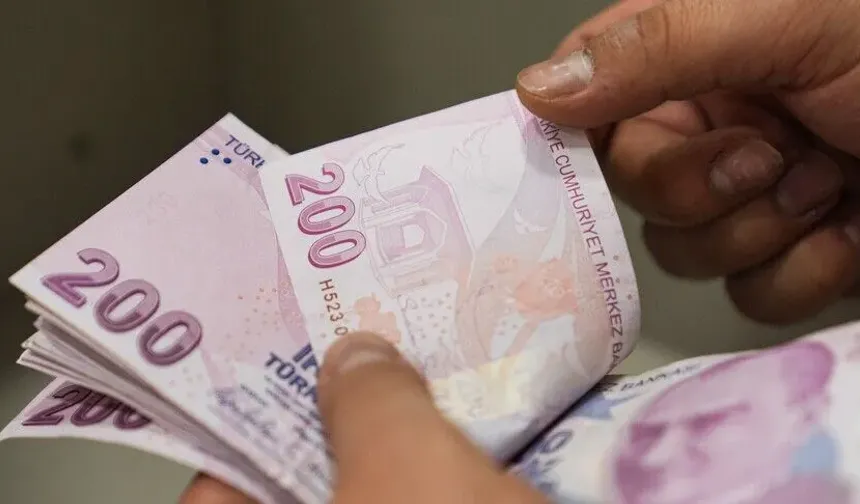 Engelli ve Eski Hükümlülere Hibe Desteği Başvuruları Başladı