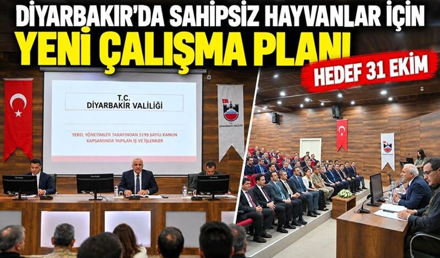 Diyarbakır’da sahipsiz hayvanlar için yeni çalışma planı: Hedef 31 Ekim