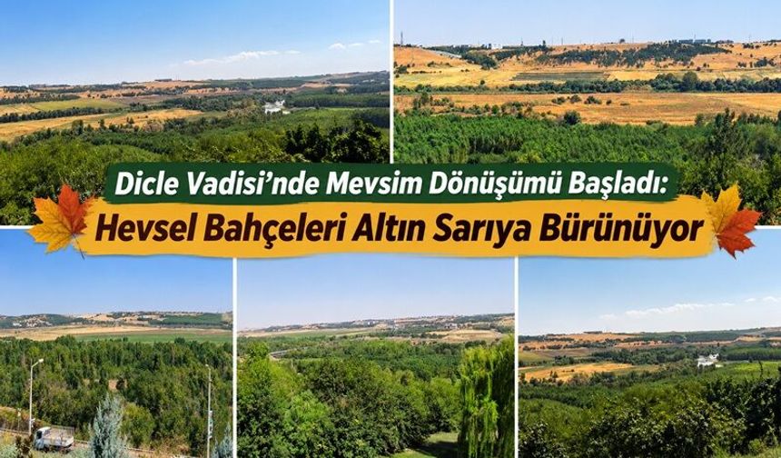 Dicle Vadisi’nde Sonbahar Renkleri Kendini Göstermeye Başladı