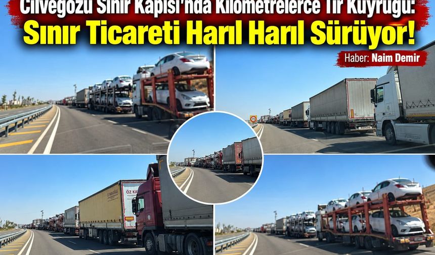 Cilvegözü Sınır Kapısı’nda Kilometrelerce Tır Kuyruğu: Sınır Ticareti Harıl Harıl Sürüyor!