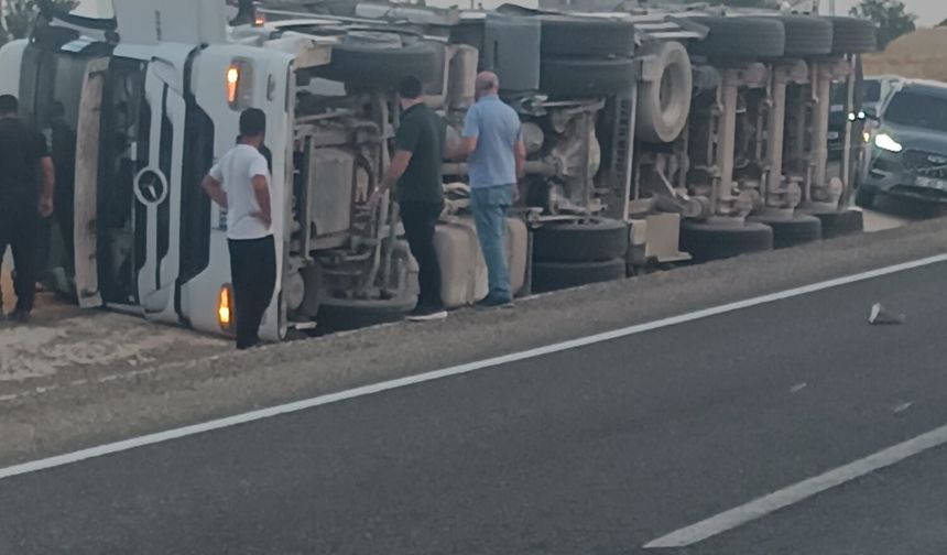İneğe Çarpmamak İçin Manevra Yapan Mısır Yüklü Tır Yan Yattı