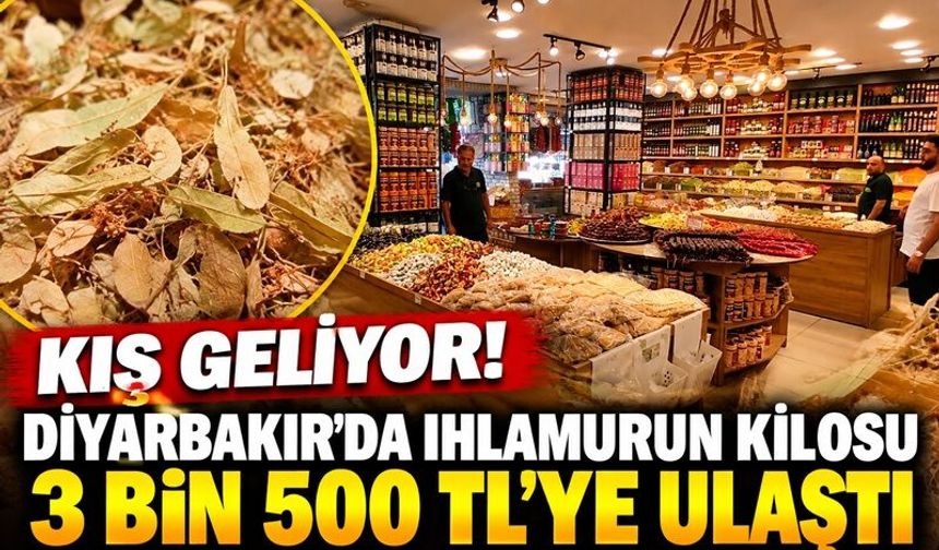 Kış Geliyor! Diyarbakır’da Ihlamurun Kilosu 3 Bin 500 TL’ye Ulaştı