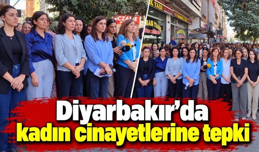 Diyarbakır’da kadın cinayetlerine tepki
